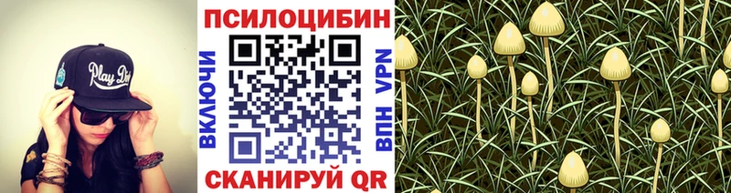 Псилоцибиновые грибы мухоморы  Купить где  Ипатово 